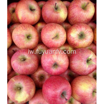 איכות גבוהה טריים חיתוך חדש Qinguan תפוח